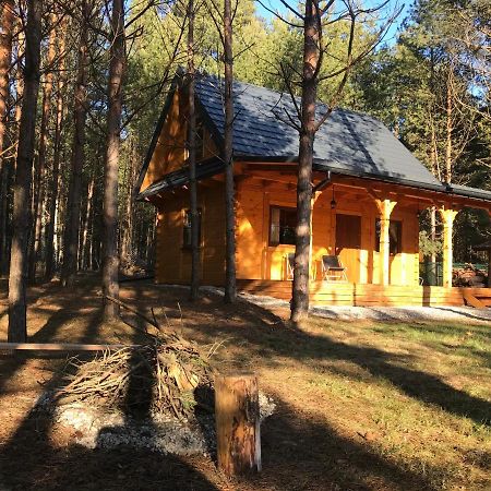 Forest Inn Trzepieciny Exteriör bild